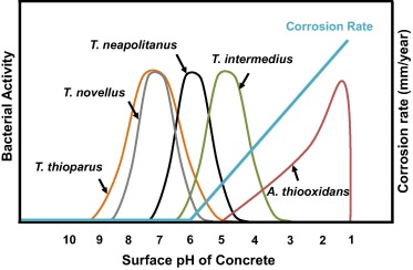 surfacePHbyMicrobes