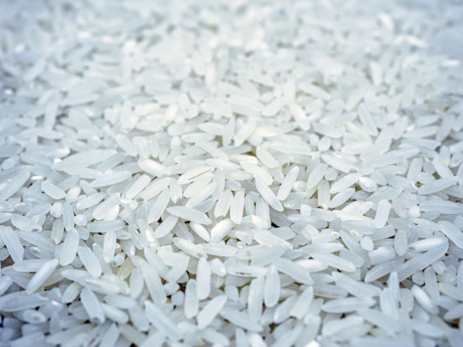 Scientific history of rice