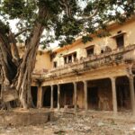 an old building with a large tree in the middle of it