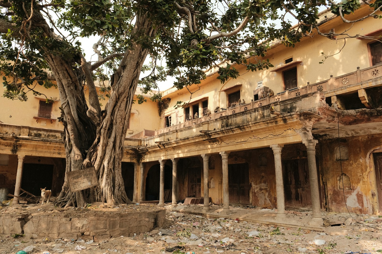 Safety of deteriorated structures